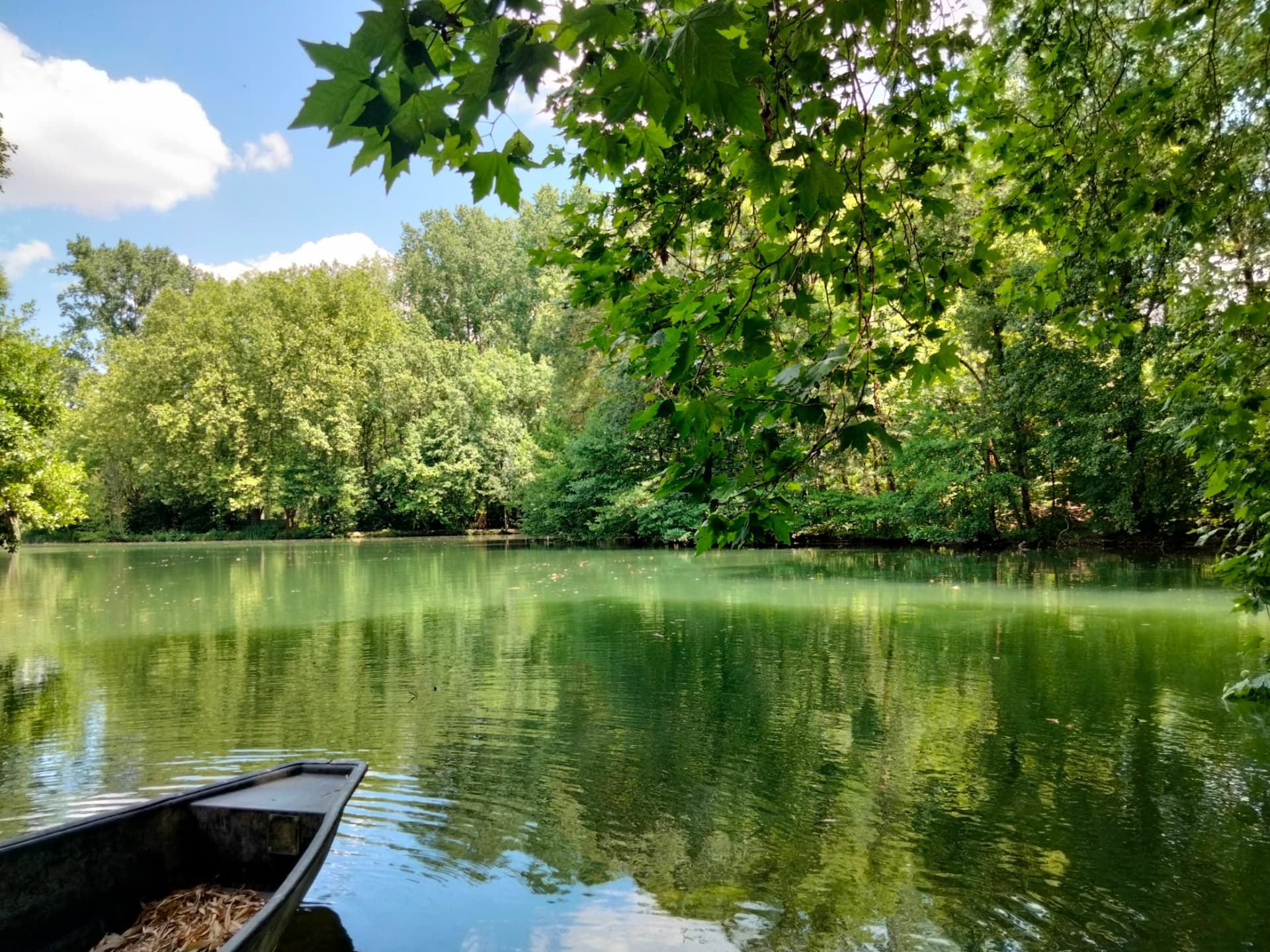 Barque sur une rivière paisible bordée d'arbres
